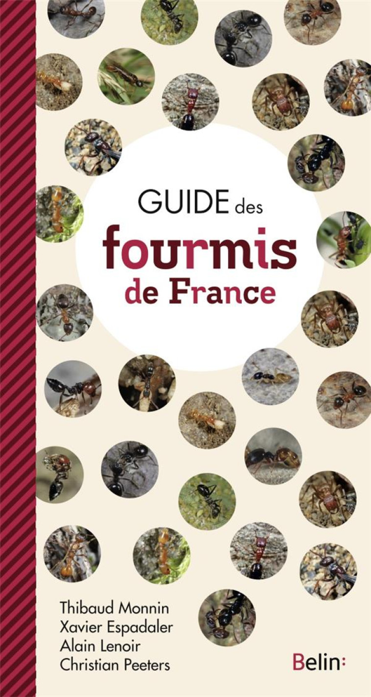 GUIDE DES FOURMIS DE FRANCE - MONNIN/LENOIR - Belin