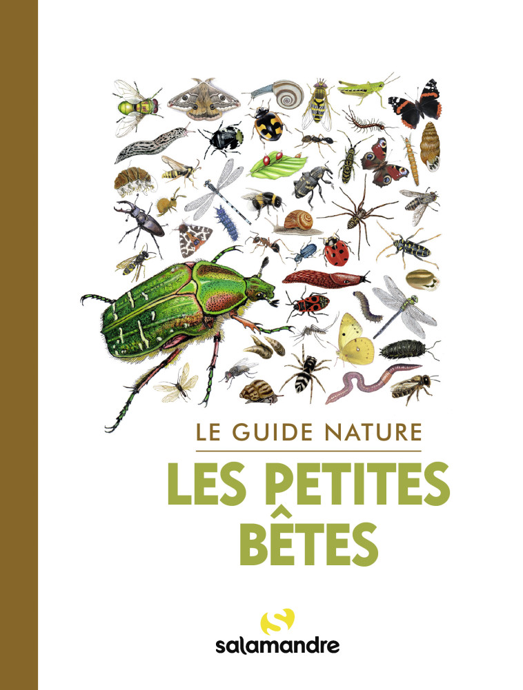 Le guide nature Les petites bêtes - Collectif Collectif - LA SALAMANDRE