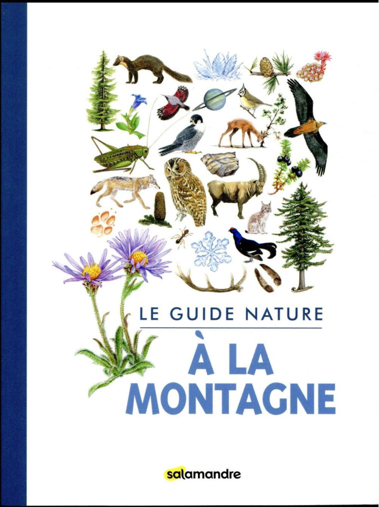 Guide nature - A la montagne -  Collectif - LA SALAMANDRE