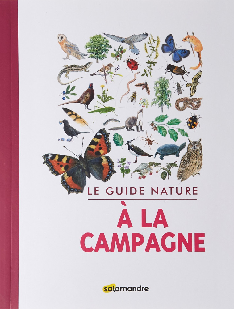 Guide nature - A la campagne -  Collectif - LA SALAMANDRE