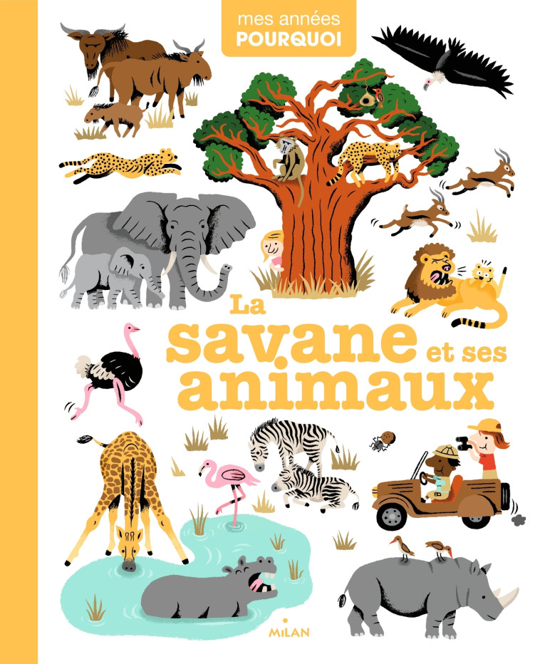 La savane et ses animaux - Camille Babeau, Sylvie Bessard, Romain Guyard, Frédéric Sochard, Didier Balicevic - MILAN