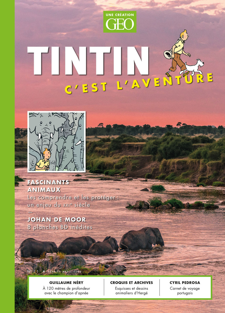 Tintin - C'est l'aventure 11 -  Collectif - GEO MOULINSART