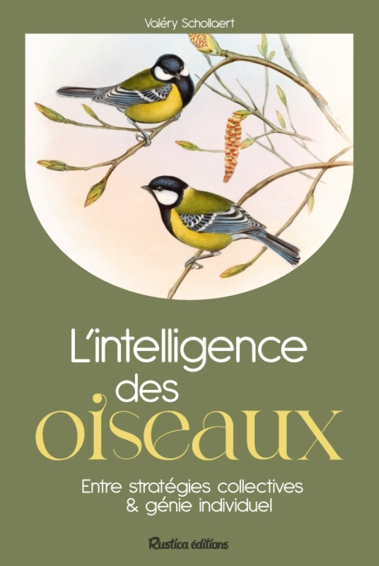 L'intelligence des oiseaux - Valery Schollaert - RUSTICA