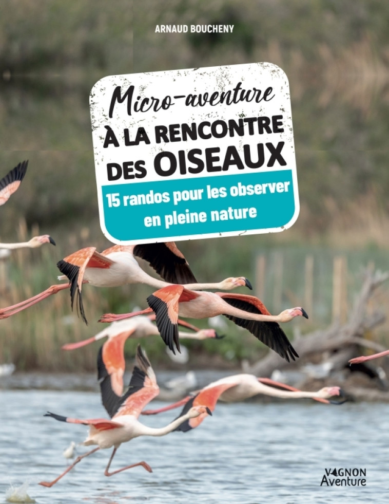 Micro-aventure à la rencontre des oiseaux - XXX - VAGNON