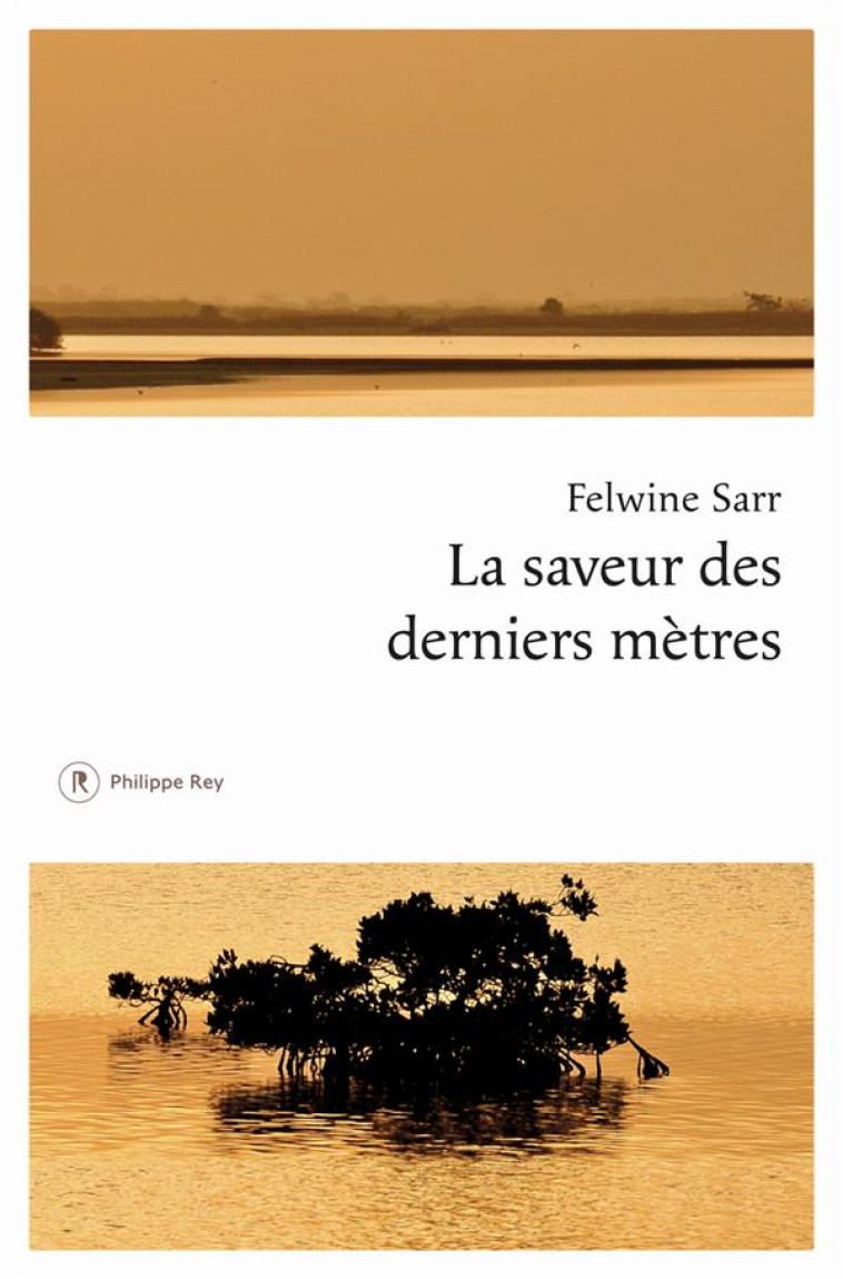 LA SAVEUR DES DERNIERS MÈTRES - FELWINE SARR - REY