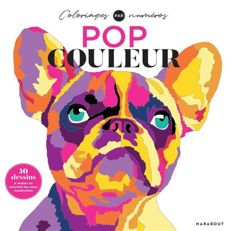 POP COULEUR - FARNSWORTH LAUREN - MARABOUT