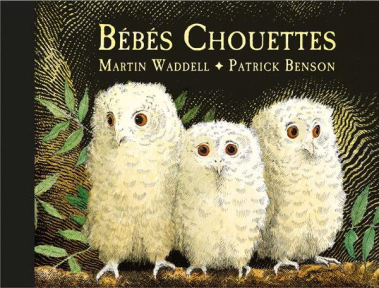 BÉBÉS CHOUETTES - MARTIN WADDELL - EDL