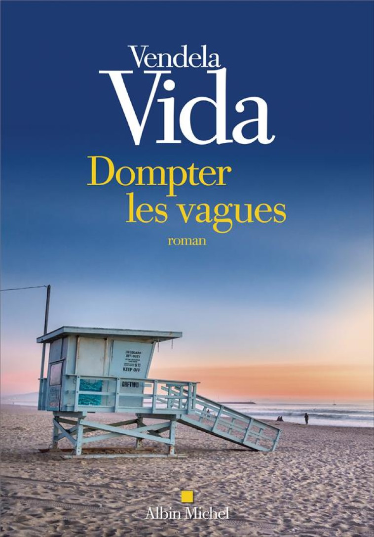 DOMPTER LES VAGUES - VENDELA VIDA - ALBIN MICHEL