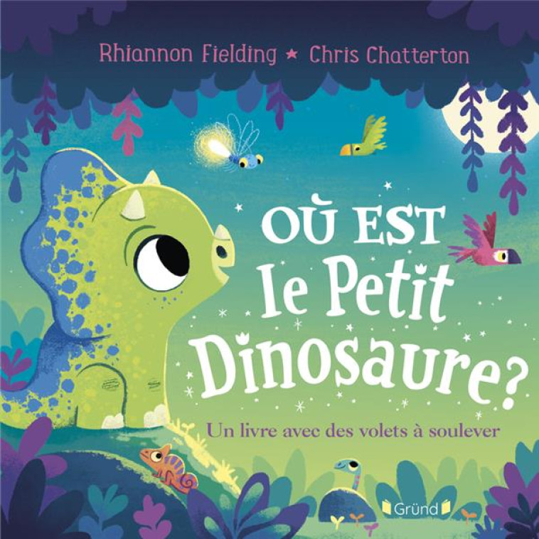 OÙ EST LE PETIT DINOSAURE ? UN LIVRE AVEC DES VOLETS À SOULEVER - RHIANNON FIELDING - GRUND