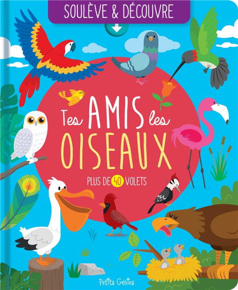 SOULEVE ET DECOUVRE - TES AMIS LES OISEAUX - PLUS DE 40 VOLETS - BOUCHER/ORDAS - NC