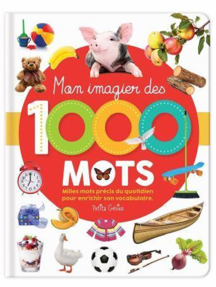 MON IMAGIER DES 1000 MOTS - CHABOT CLAIRE - NC