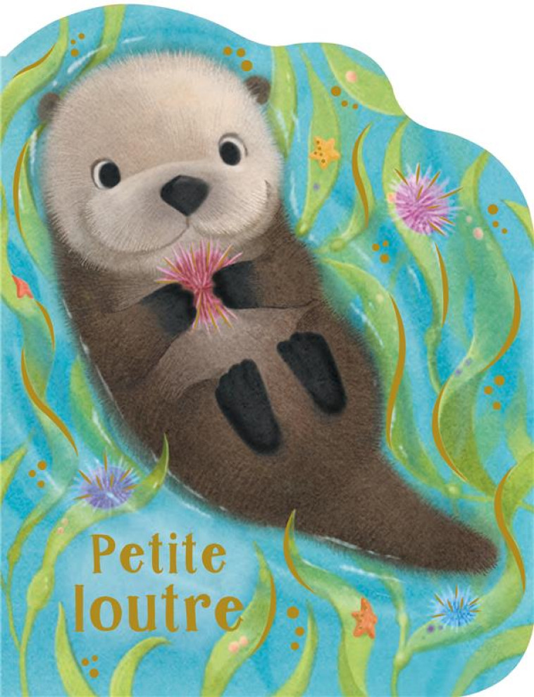 P'TIT CHOU - PETITE LOUTRE - WREN/HANSON - PRESSE AVENTURE