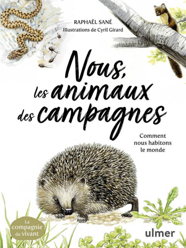 NOUS, LES ANIMAUX DES CAMPAGNES - COMMENT HABITER LE MONDE - RAPHAEL SANE - ULMER