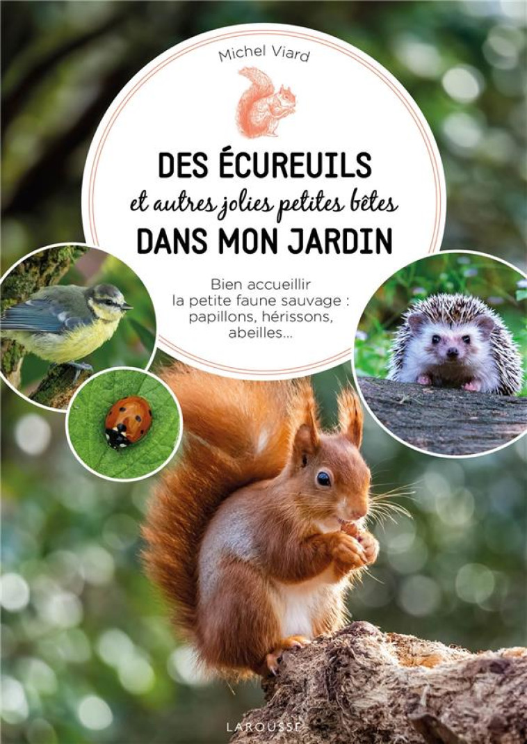 DES ÉCUREUILS DANS MON JARDIN - MICHEL VIARD - LAROUSSE