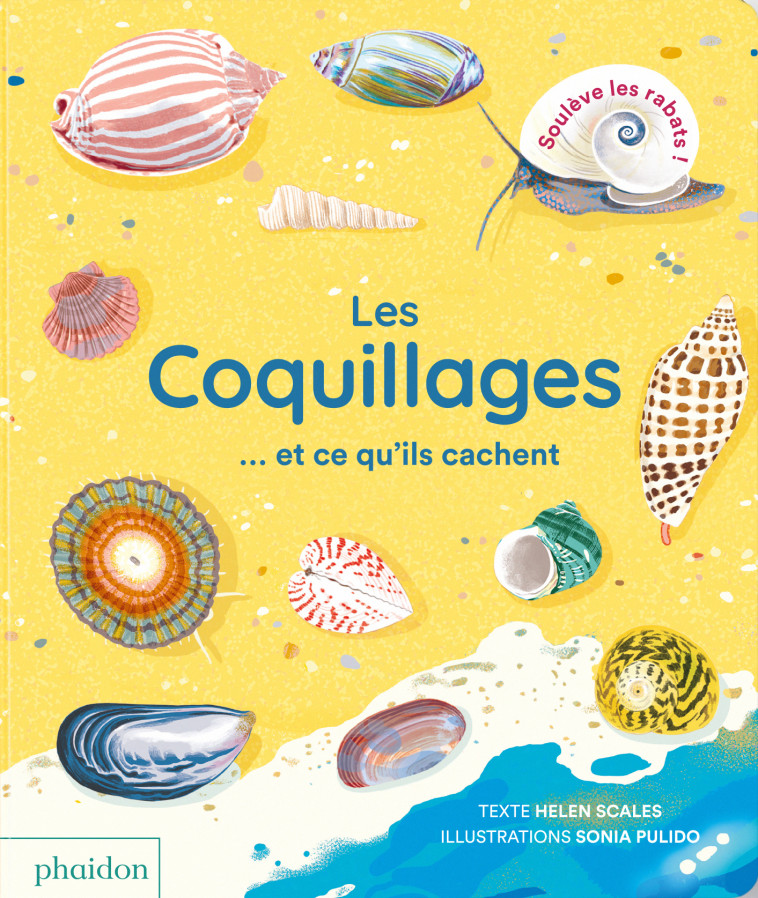 LES COQUILLAGES  ET CE QU'ILS CACHENT - SCALES Helen, PULIDO Sonia - PHAIDON FRANCE