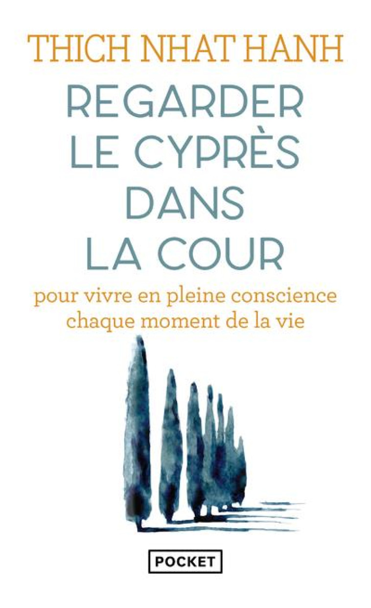 REGARDER LE CYPRÈS DANS LA COUR - THICH NHAT HANH - POCKET