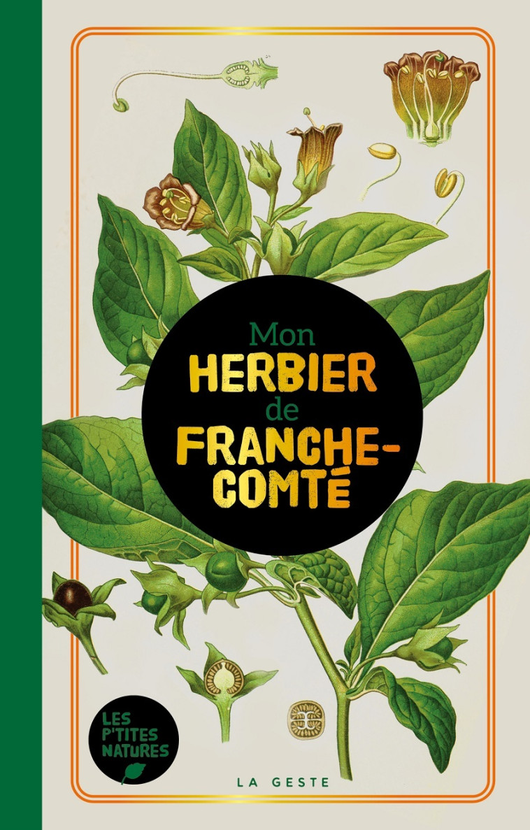 MON HERBIER DE FRANCHE-COMTE - A BUEN PASA , Collectif , COLLECTIF D'AUTEURS - GESTE