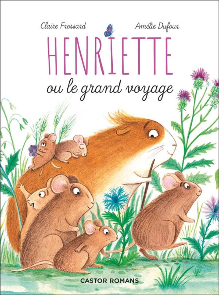 HENRIETTE OU LE GRAND VOYAGE - CLAIRE FROSSARD - FLAMMARION