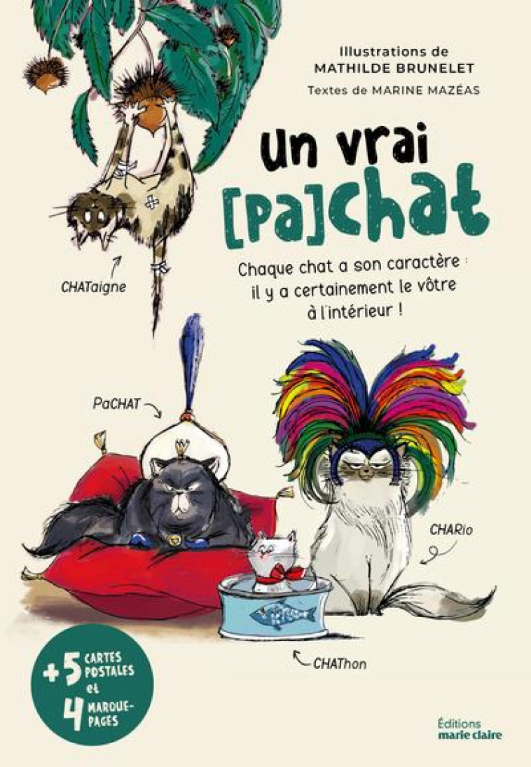 UN VRAI (PA)CHAT - MARINE MAZEAS - NC