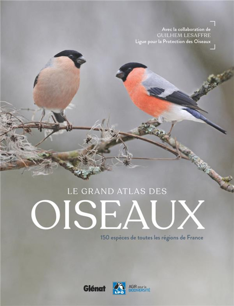 LE GRAND ATLAS DES OISEAUX - COLLECTIF/LESAFFRE - GLENAT