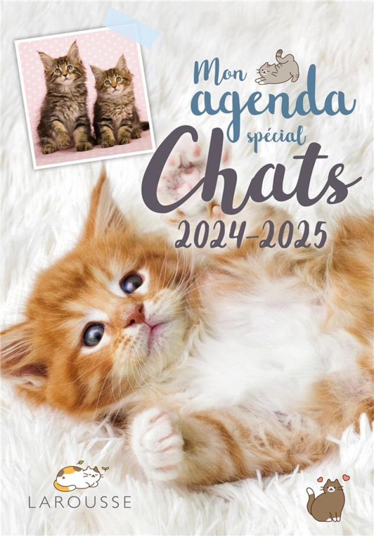 AGENDA SCOLAIRE CHATS 2024-2025 - COLLECTIF - NC