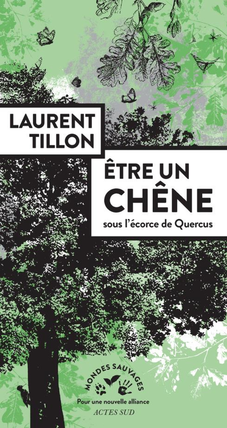 ÊTRE UN CHÊNE - LAURENT TILLON - ACTES SUD