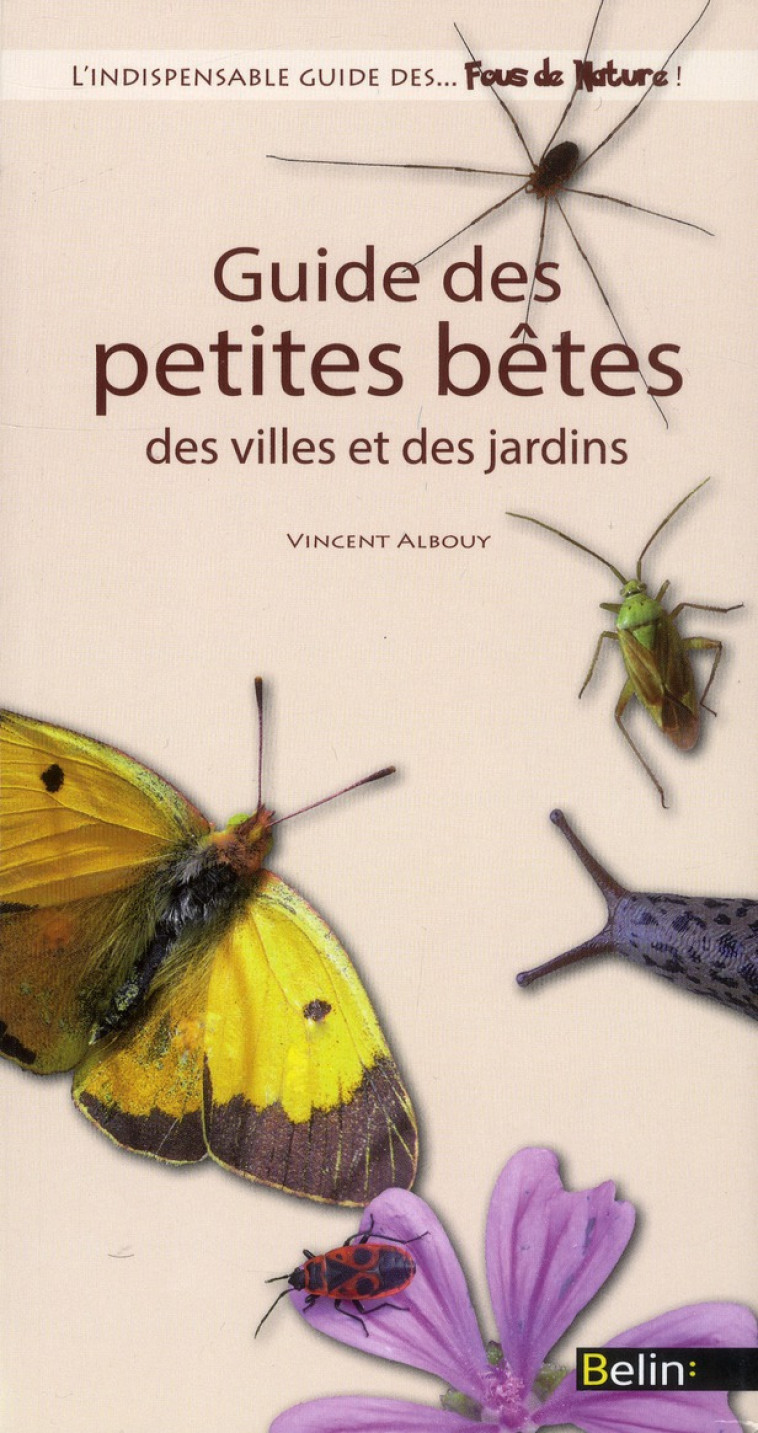 GUIDE DES PETITES BÊTES DES VILLES ET DES JARDINS - VINCENT ALBOUY - Belin