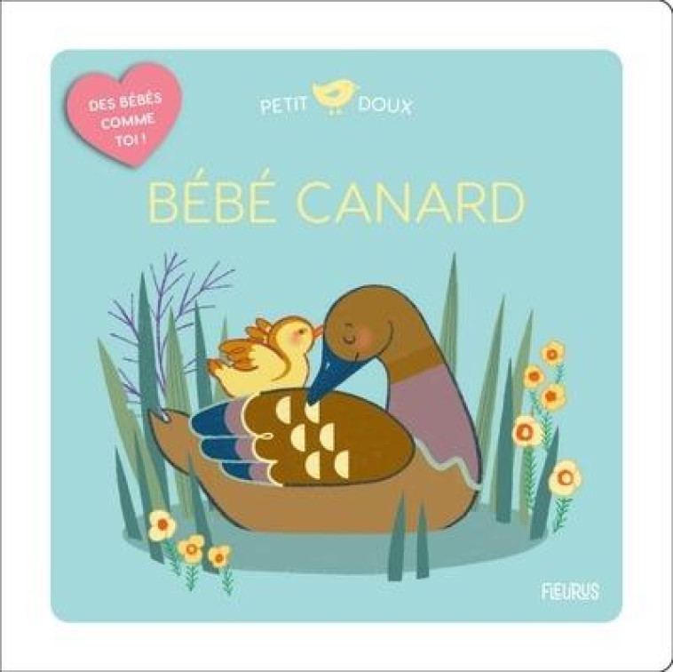 BÉBÉ CANARD - COUDRAY ELODIE - FLEURUS