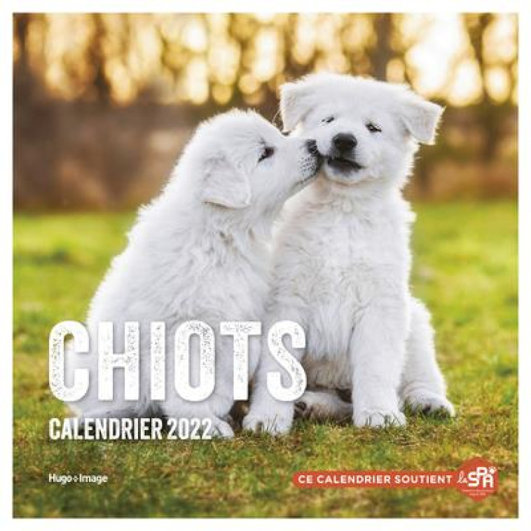 CALENDRIER MURAL CHIOTS 2022 - COLLECTIF - NC