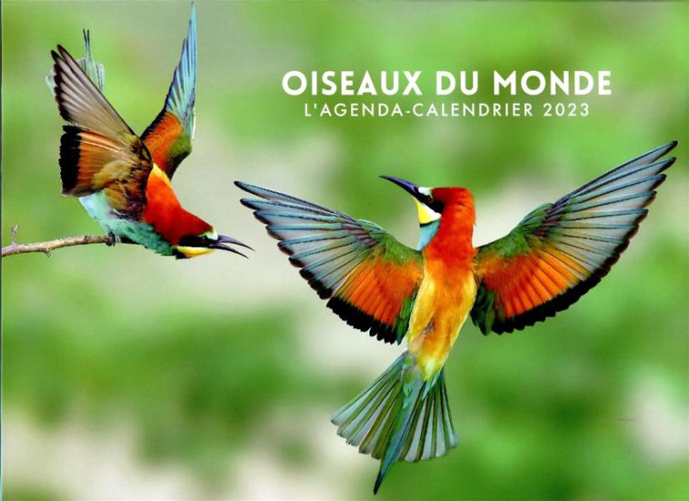 AGENDA - CALENDRIER OISEAUX DU MONDE 2023 - COLLECTIF - HUGO JEUNESSE