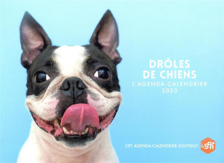 AGENDA - CALENDRIER DRÔLES DE CHIENS 2023 - COLLECTIF - HUGO JEUNESSE