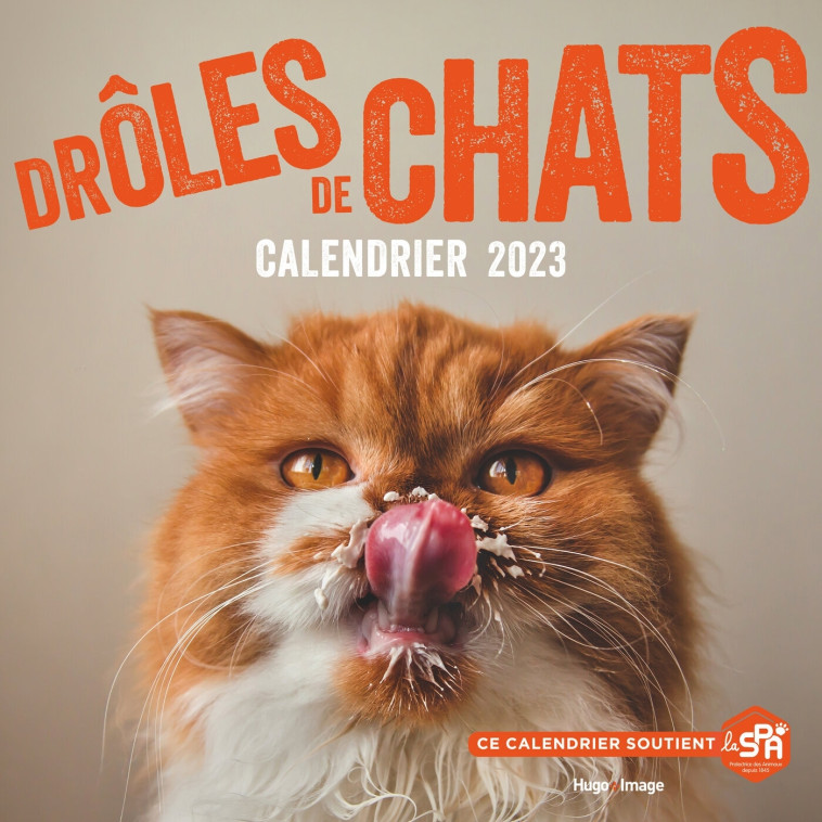 CALENDRIER MURAL - DRÔLES DE CHATS 2023 -   - HUGO IMAGE