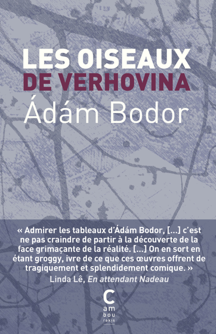 LES OISEAUX DE VERHOVINA (POCHE) - ÁDáM BODOR - CAMBOURAKIS