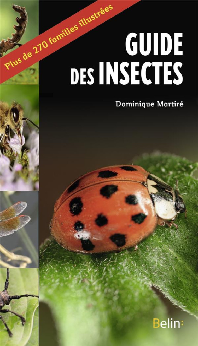 LE GUIDE DES INSECTES - MARTIRE - DORLING KINDERS