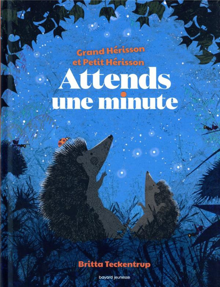 ATTENDS UNE MINUTE (GRAND HÉRISSON ET PETIT HÉRISSON) - TECKENTRUP BRITTA - BAYARD JEUNESSE