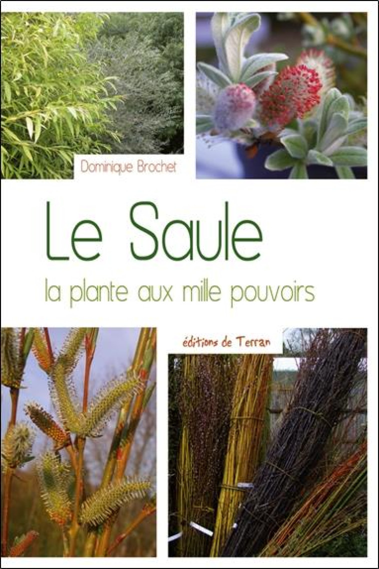 LE SAULE - LA PLANTE AUX MILLE POUVOIRS - DOMINIQUE BROCHET - Ed. du Terran