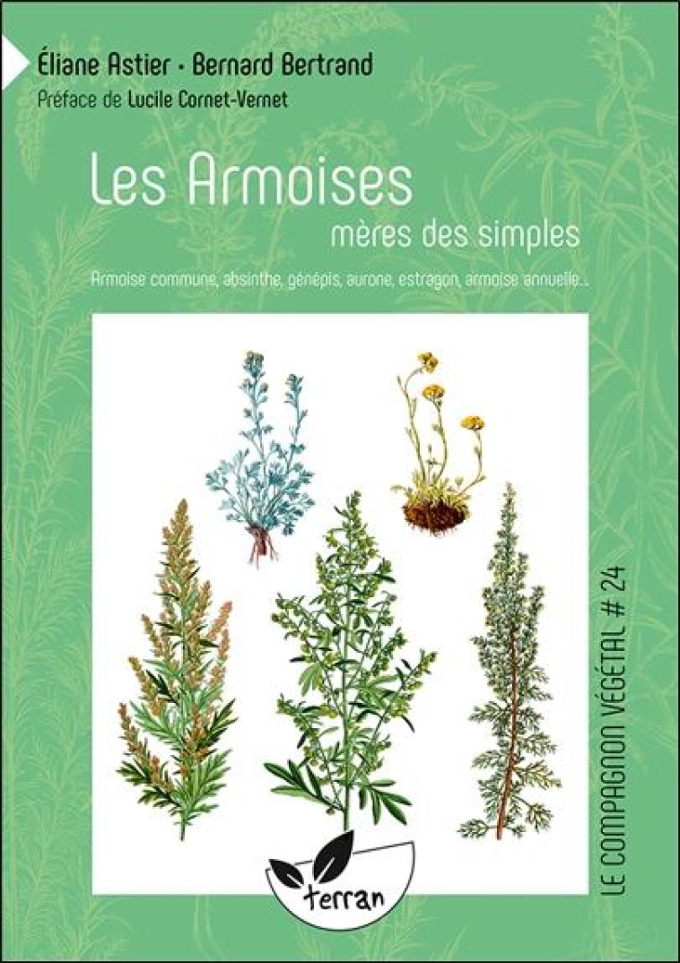 LES ARMOISES, MERES DES SIMPLES - ARMOISE COMMUNE, ABSINTHE, GENEPIS, AURONE, ESTRAGON, ARMOISE ANNU - BERTRAND/ASTIER - DE TERRAN