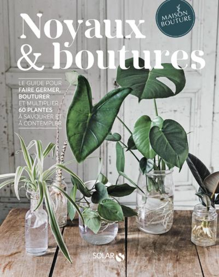 NOYAUX & BOUTURES - LE GUIDE POUR FAIRE GERMER, BOUTURER ET MULTIPLIER 60 PLANTES A SAVOURER ET A CO - BRUN/GERMAIN-LACOUR - SOLAR