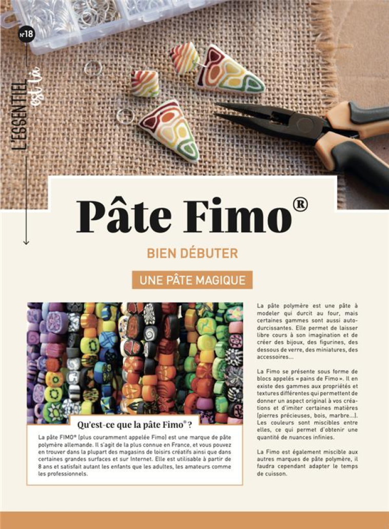 PATE FIMO - BIEN DEBUTER - COLLECTIF - MERCILESLIVRES