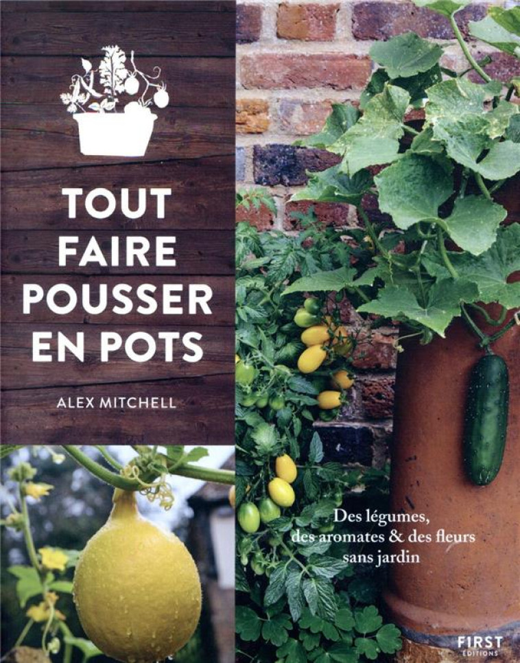 TOUT FAIRE POUSSER EN POTS - MITCHEL ALEX - FIRST