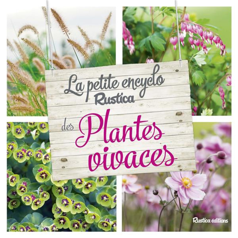 LA PETITE ENCYCLO RUSTICA DES PLANTES VIVACES - GARNAUD VALERIE - RUSTICA