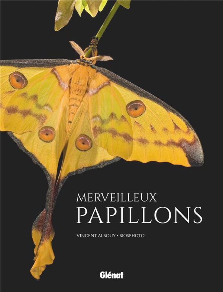 MERVEILLEUX PAPILLONS - VINCENT ALBOUY - GLENAT