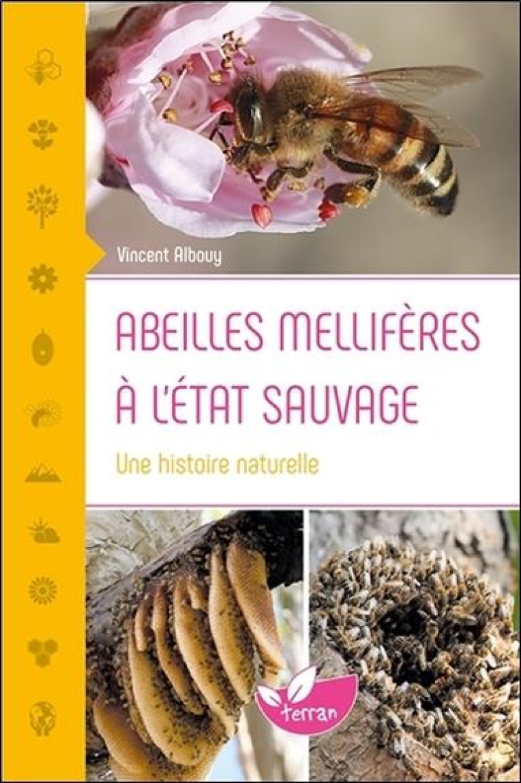 ABEILLES MELLIFERES A L'ETAT SAUVAGE - UNE HISTOIRE NATURELLE - ALBOUY VINCENT - DE TERRAN