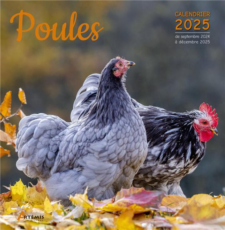 CALENDRIER POULES 2025 - COLLECTIF - NC