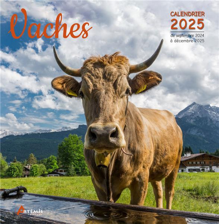 CALENDRIER VACHES 2025 - COLLECTIF - NC