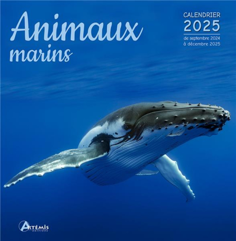 CALENDRIER ANIMAUX MARINS 2025 - COLLECTIF - NC