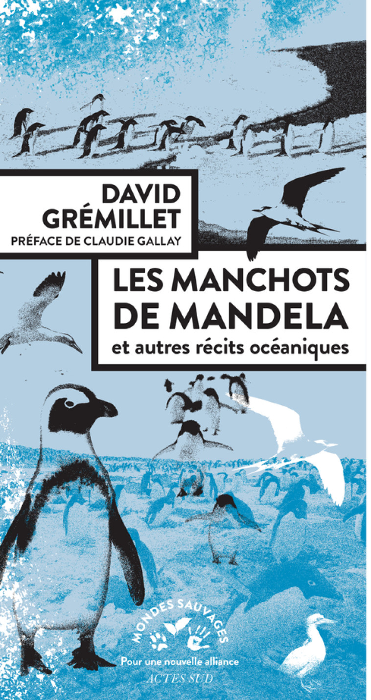 Les manchots de Mandela - Gremillet David, Gallay Claudie - ACTES SUD