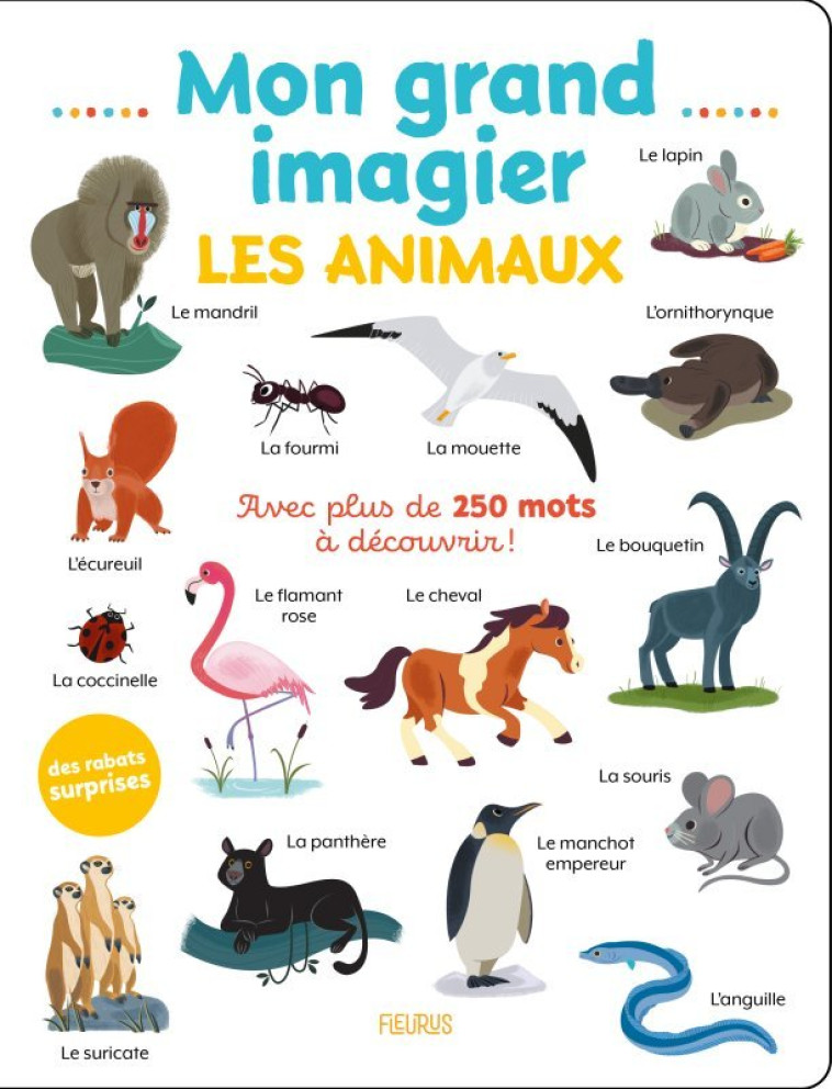 Mon grand imagier . Les animaux - XXX - FLEURUS