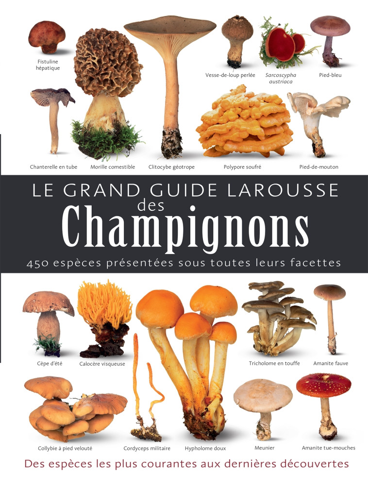 Le grand guide Larousse des champignons - Laessoe Thomas - LAROUSSE