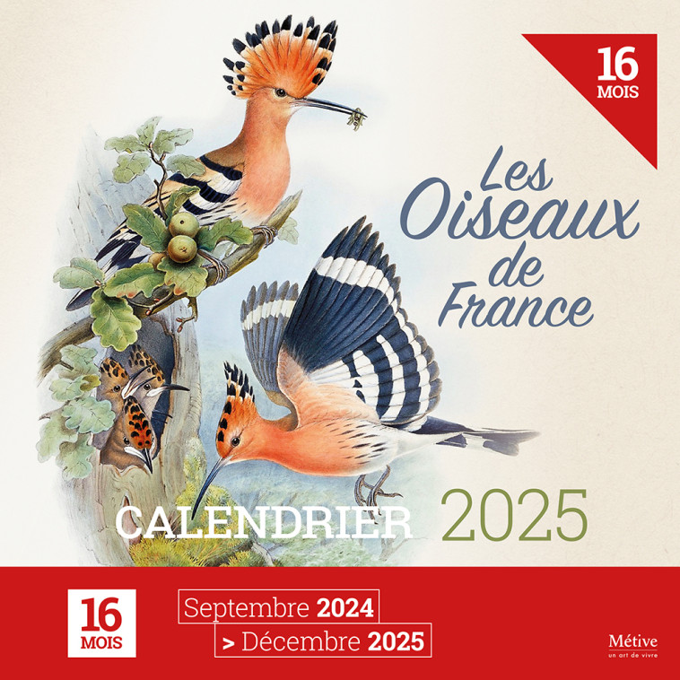 Les oiseaux de France - Calendrier 2025 - XXX - METIVE